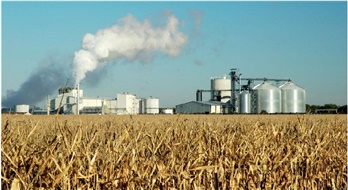 環(huán)球快資訊丨2023生物質(zhì)燃料行業(yè)市場(chǎng)深度分析及發(fā)展現狀